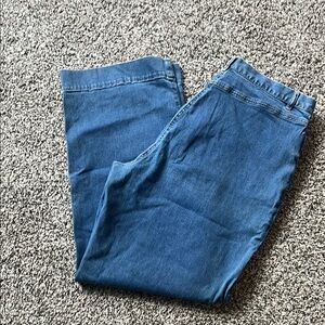 J Jill Stretch Blue Jeans size 16